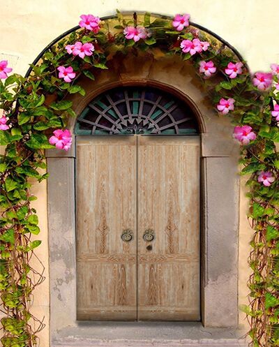 mega doors mega doors